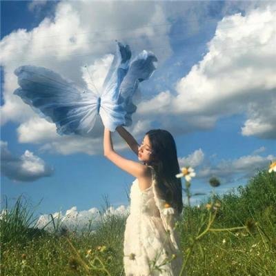 血染鲨海