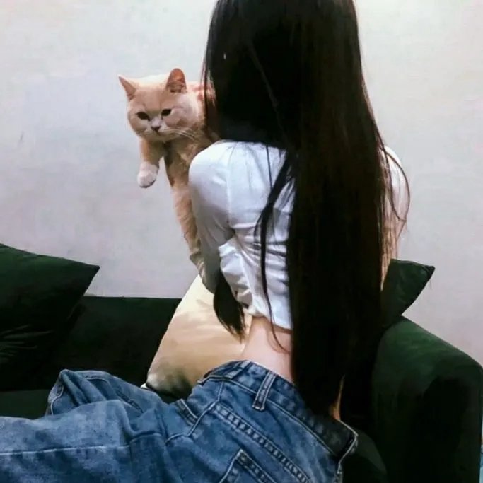 亡命机劫